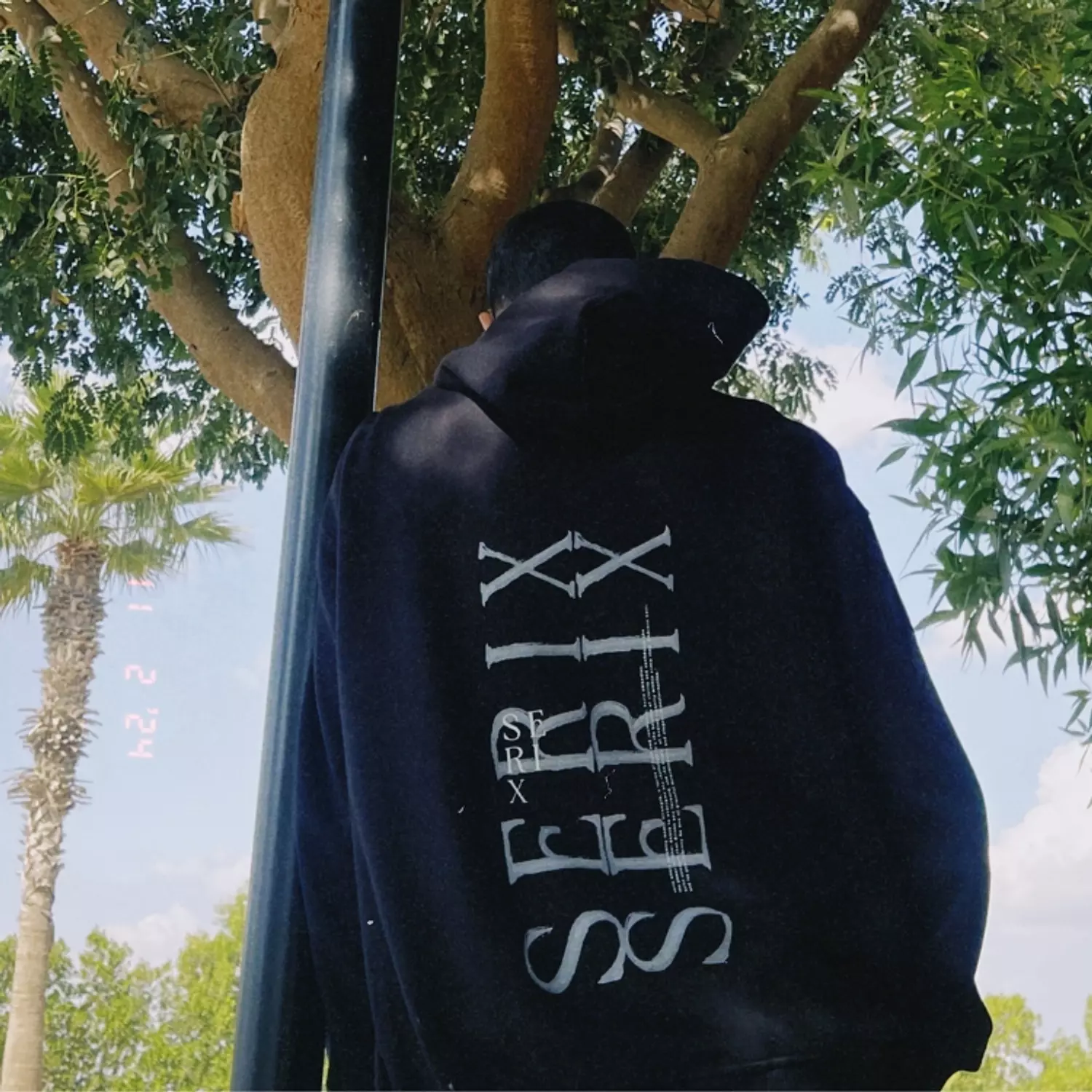 Serix Hoodie hover image