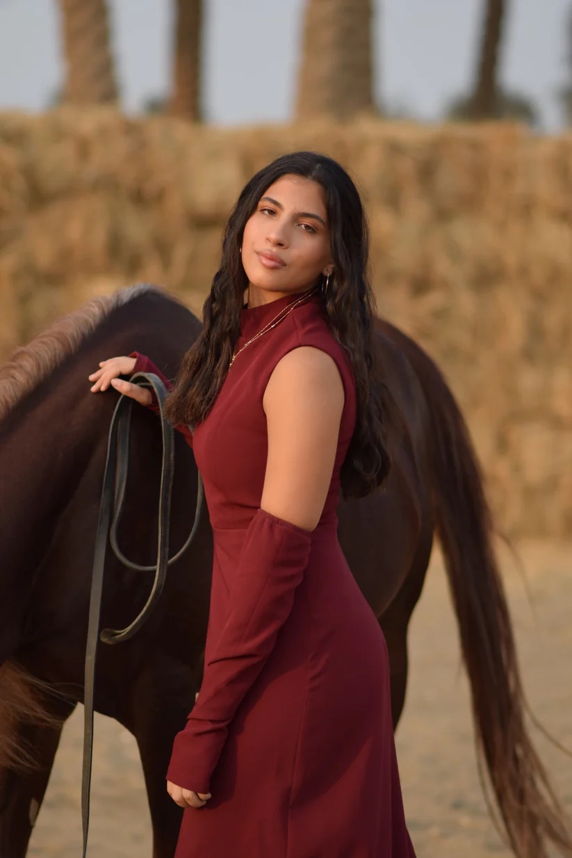 Burgundy Dress