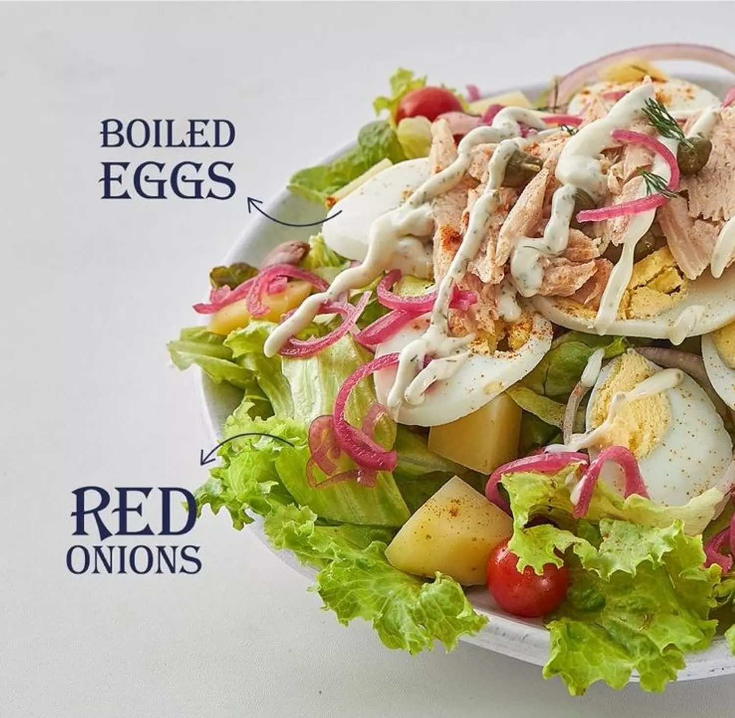 <p><br><strong><span style="color: rgb(35, 40, 78)">Salads &amp; Dips</span></strong></p>