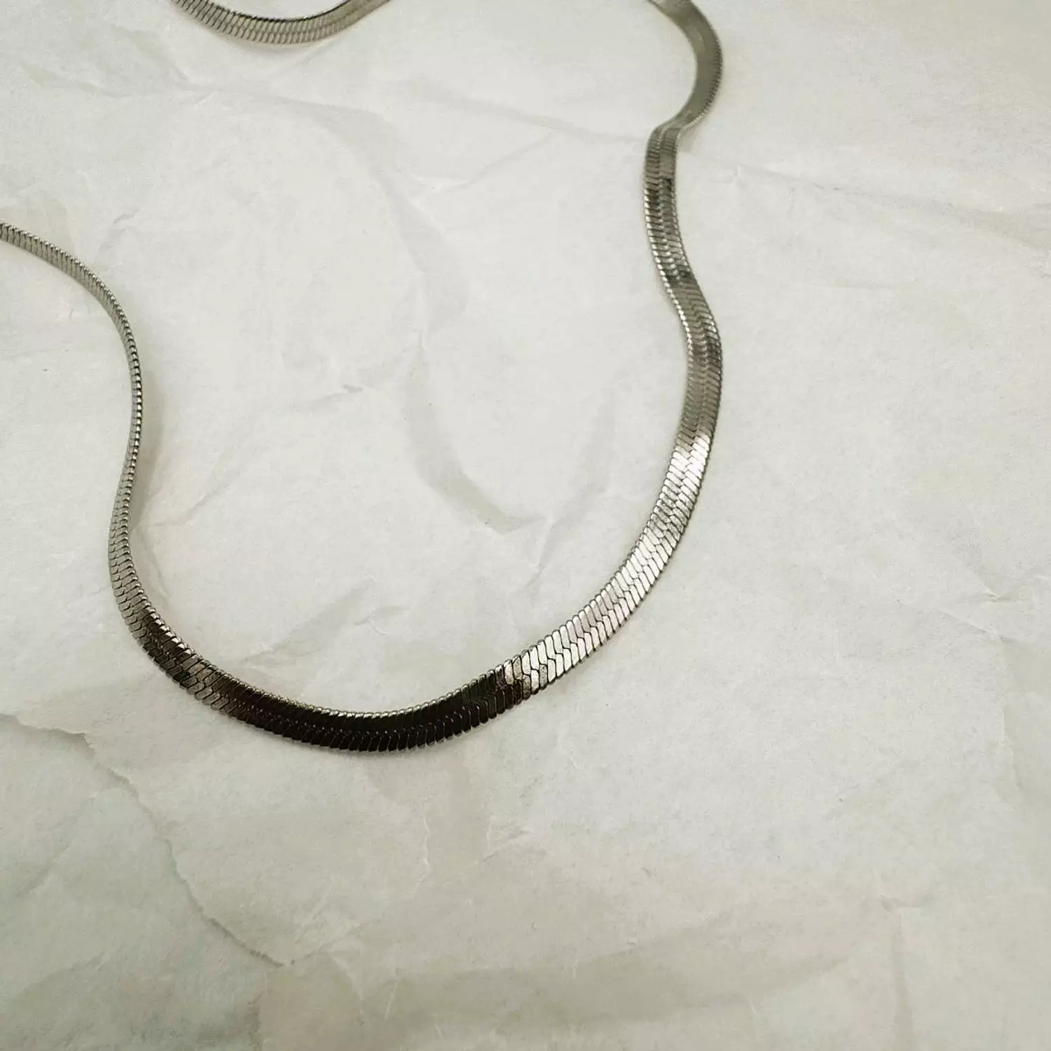 Silver Snake Necklace 1