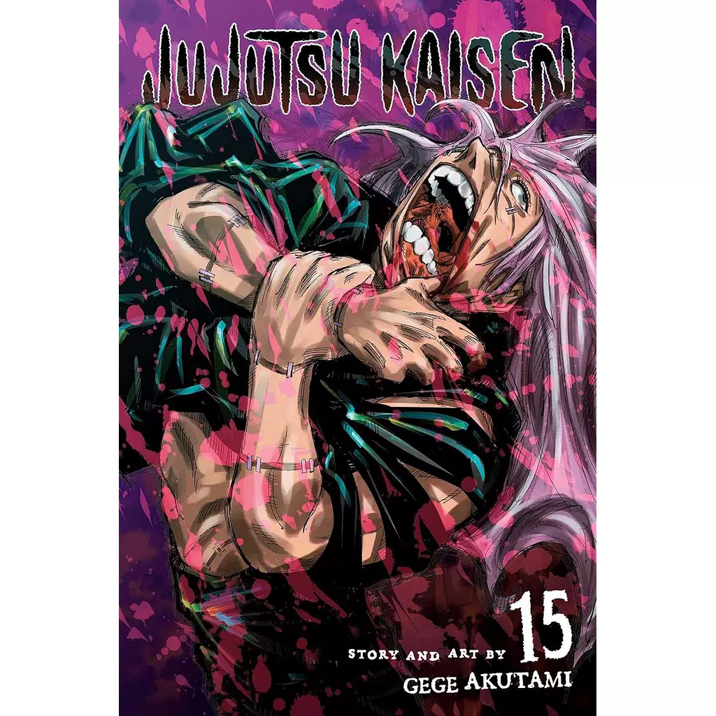 Jujutsu Kaisen 15