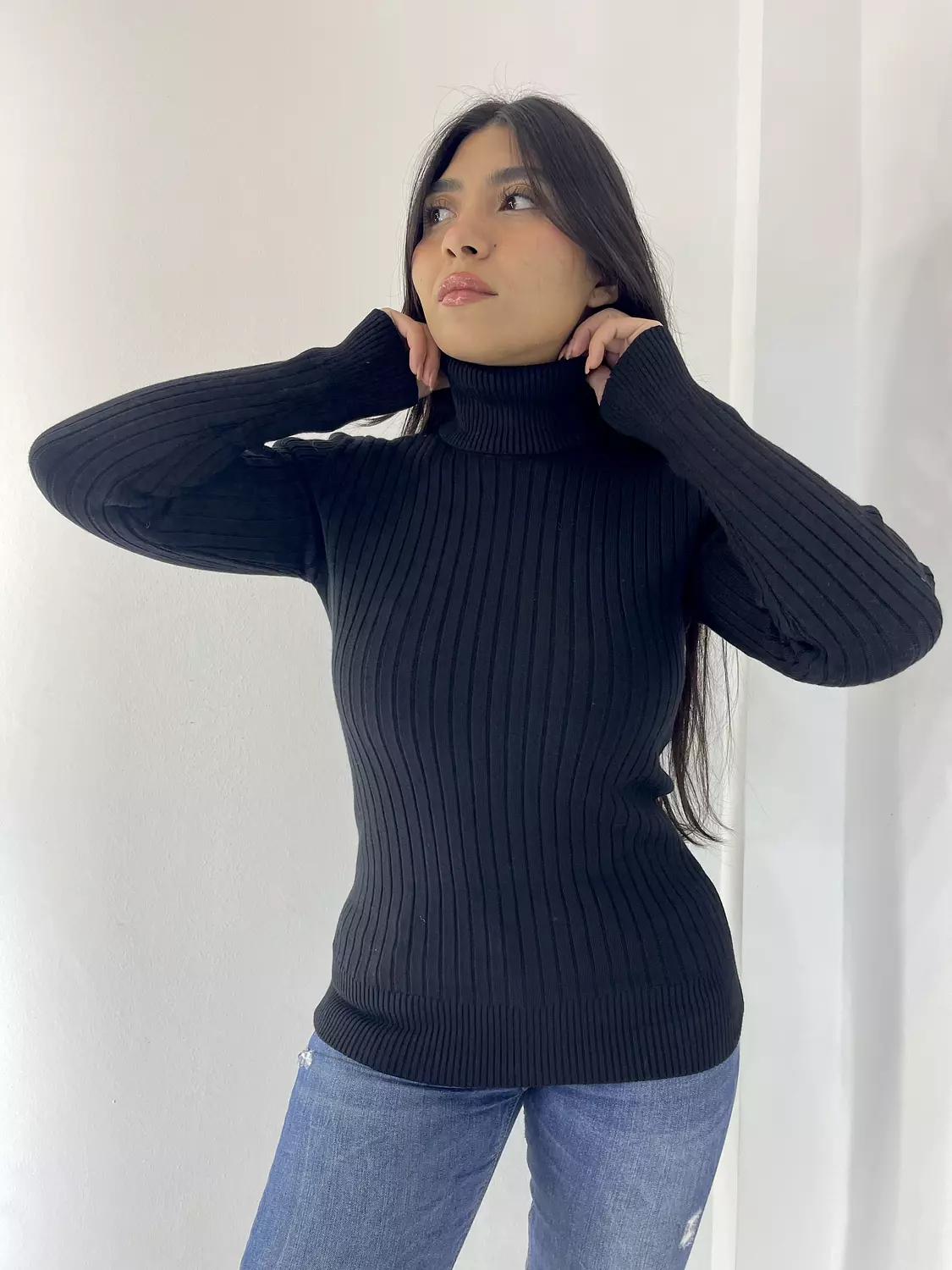 Turtleneck  5