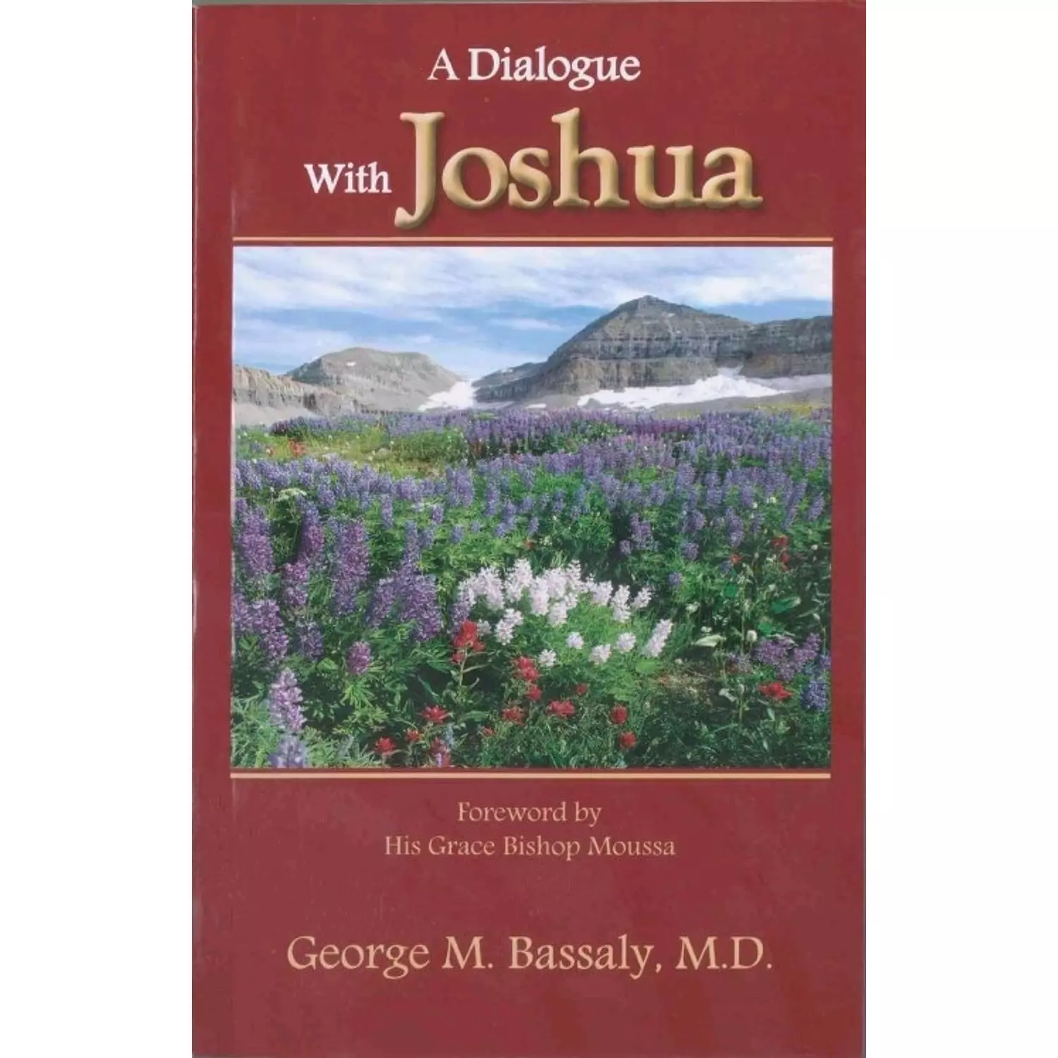 A Dialogue With Joshua hover image