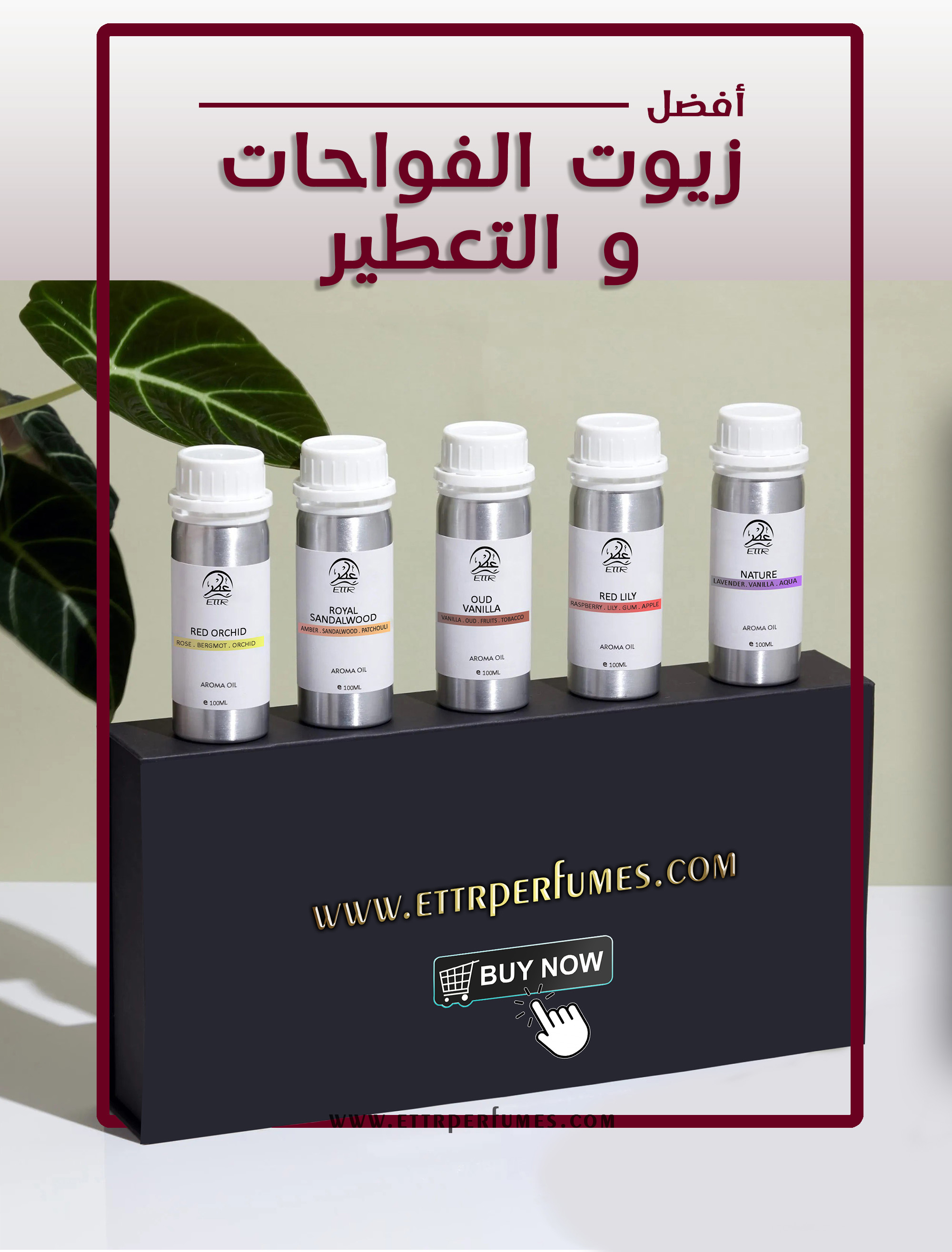 <h3>تسوق الآن</h3>