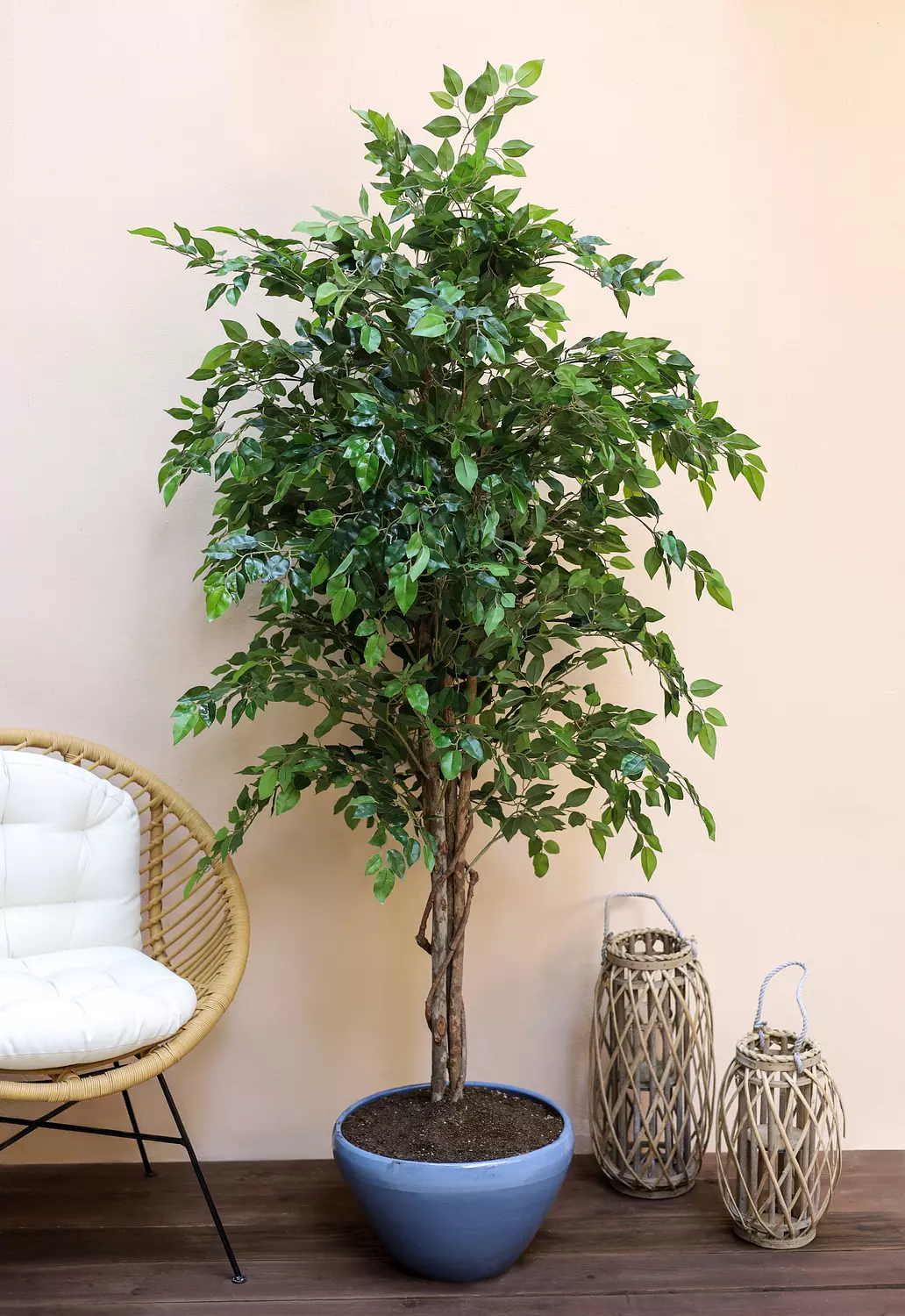 Artificial Ficus Benjamina Plant hover image