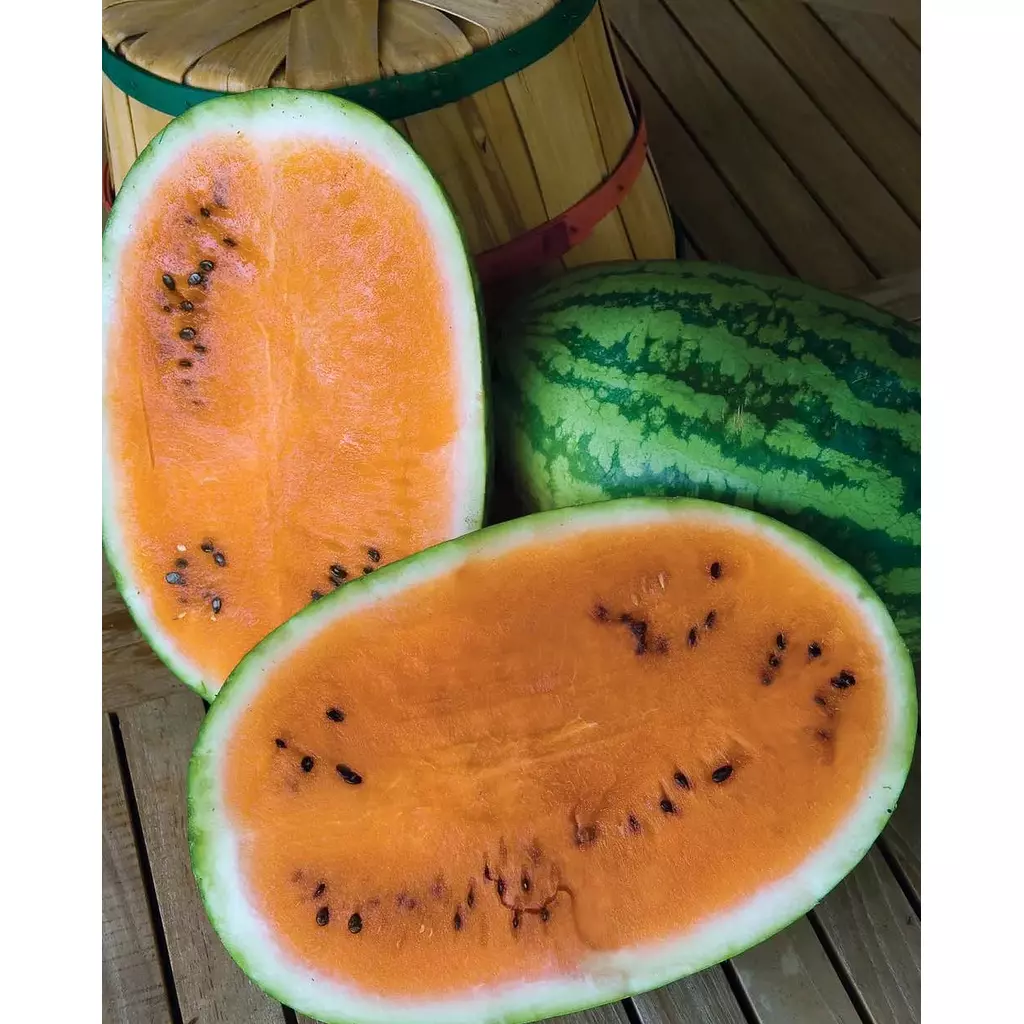 Orange Watermelon seeds 