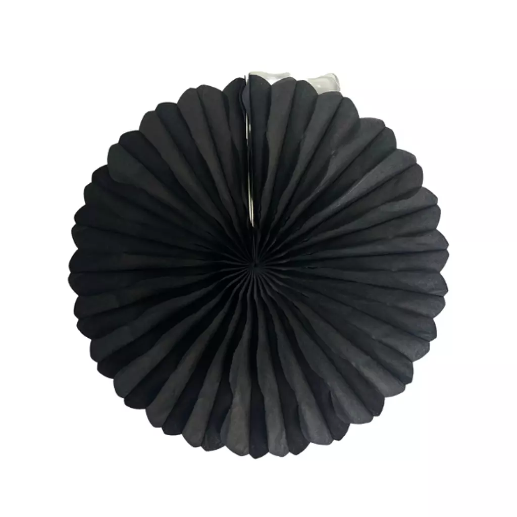 Black Fan Burst