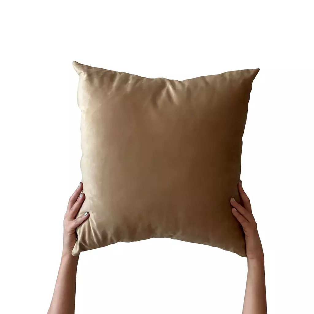 Sepia Cushion