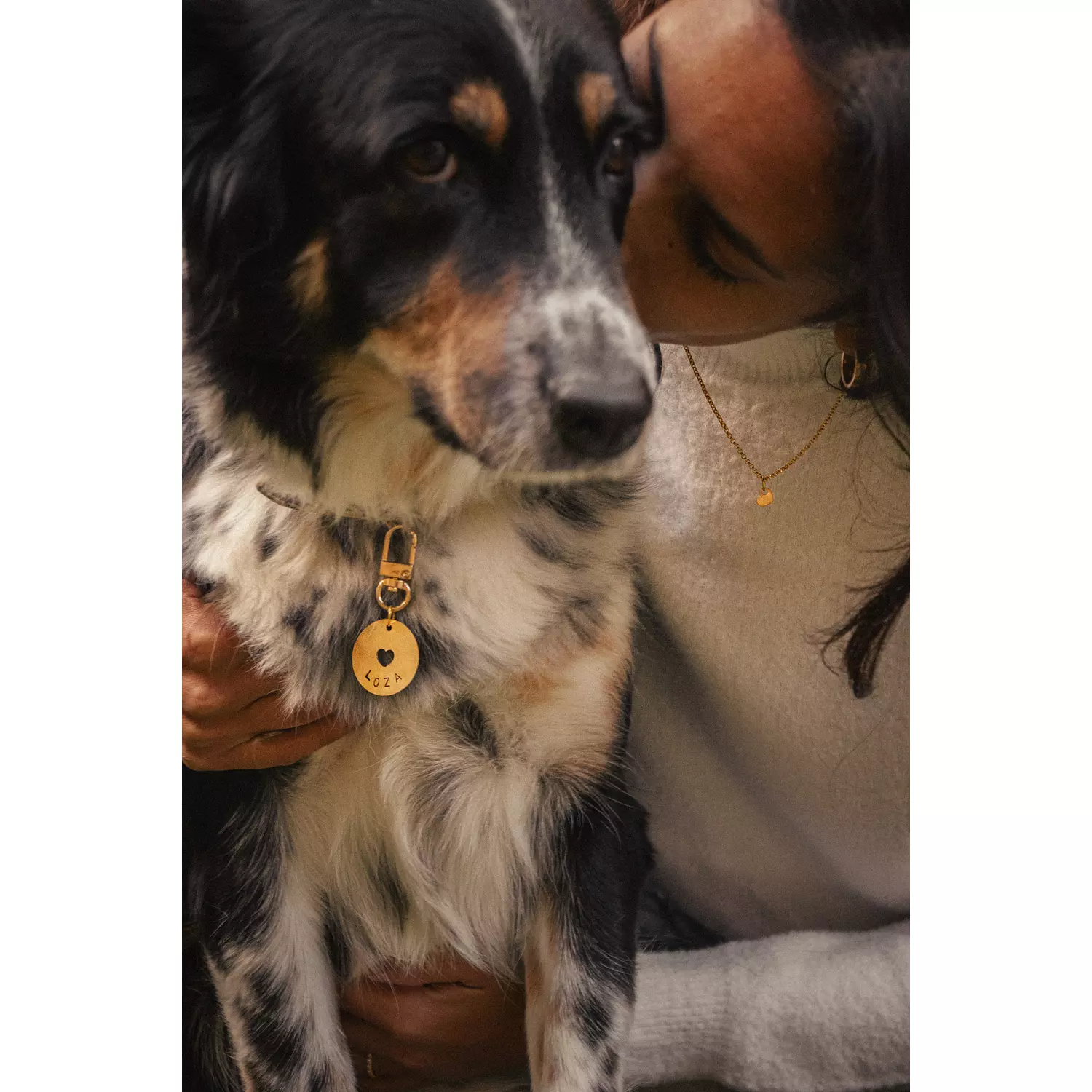 Love Bound Pet Tag & Charm hover image