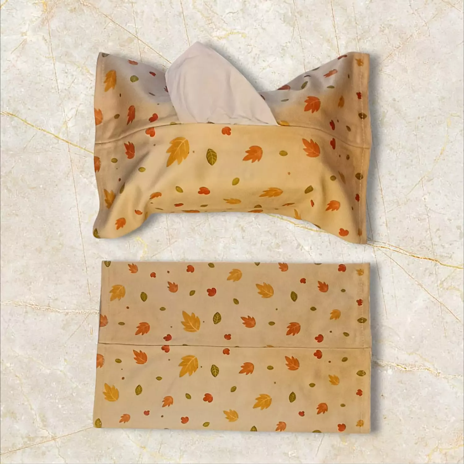 Modern Tissue Cover 1