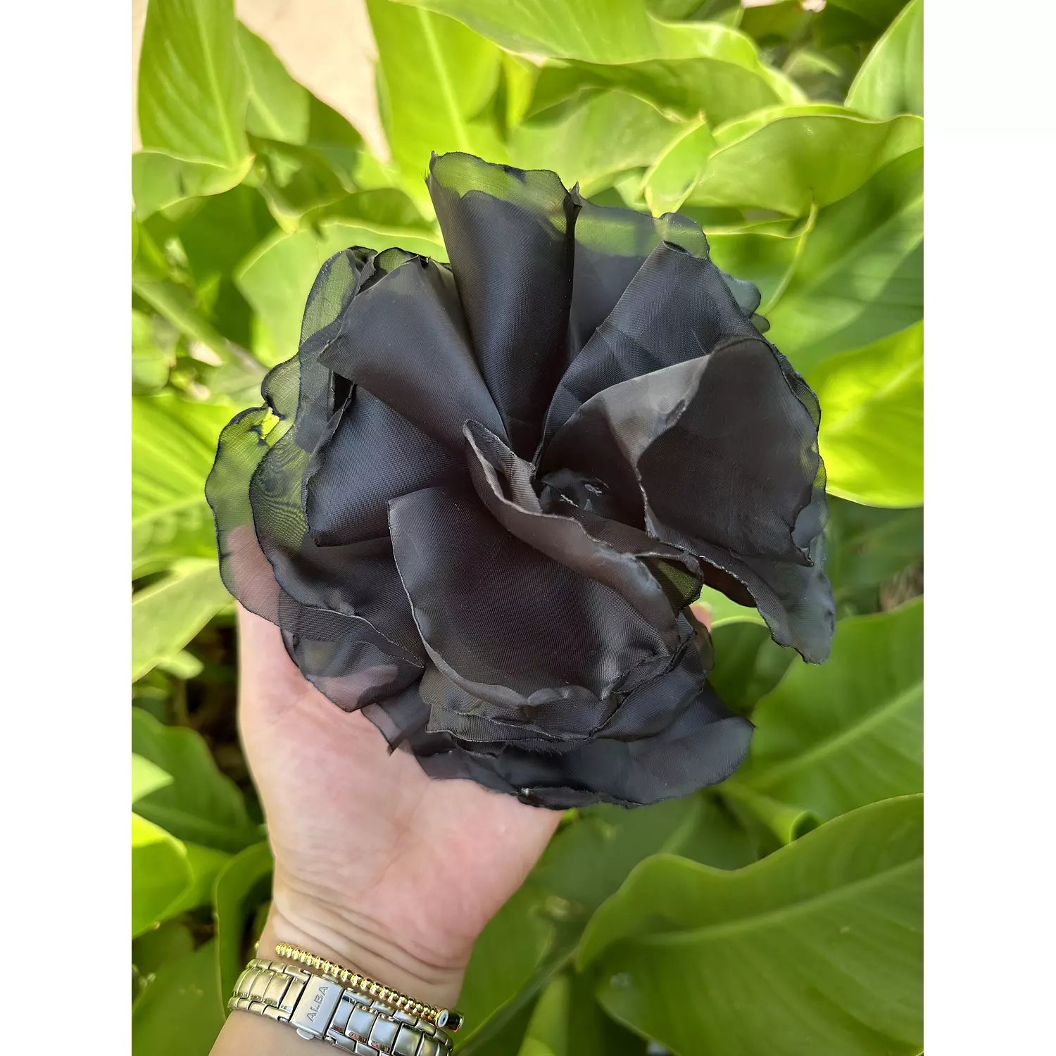 Black flower  hover image