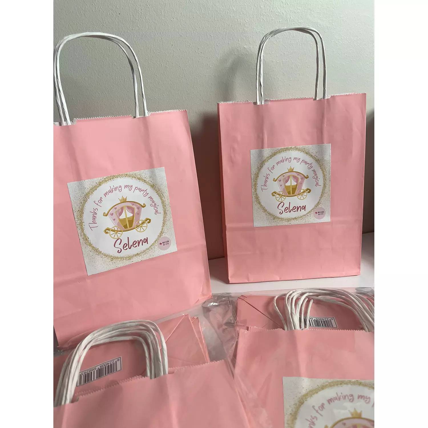 Paper Giveaway Bags 10