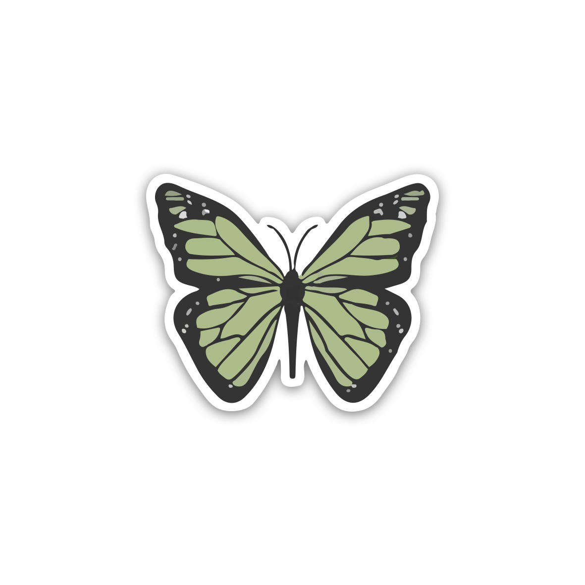 Green Butterfly 🦋