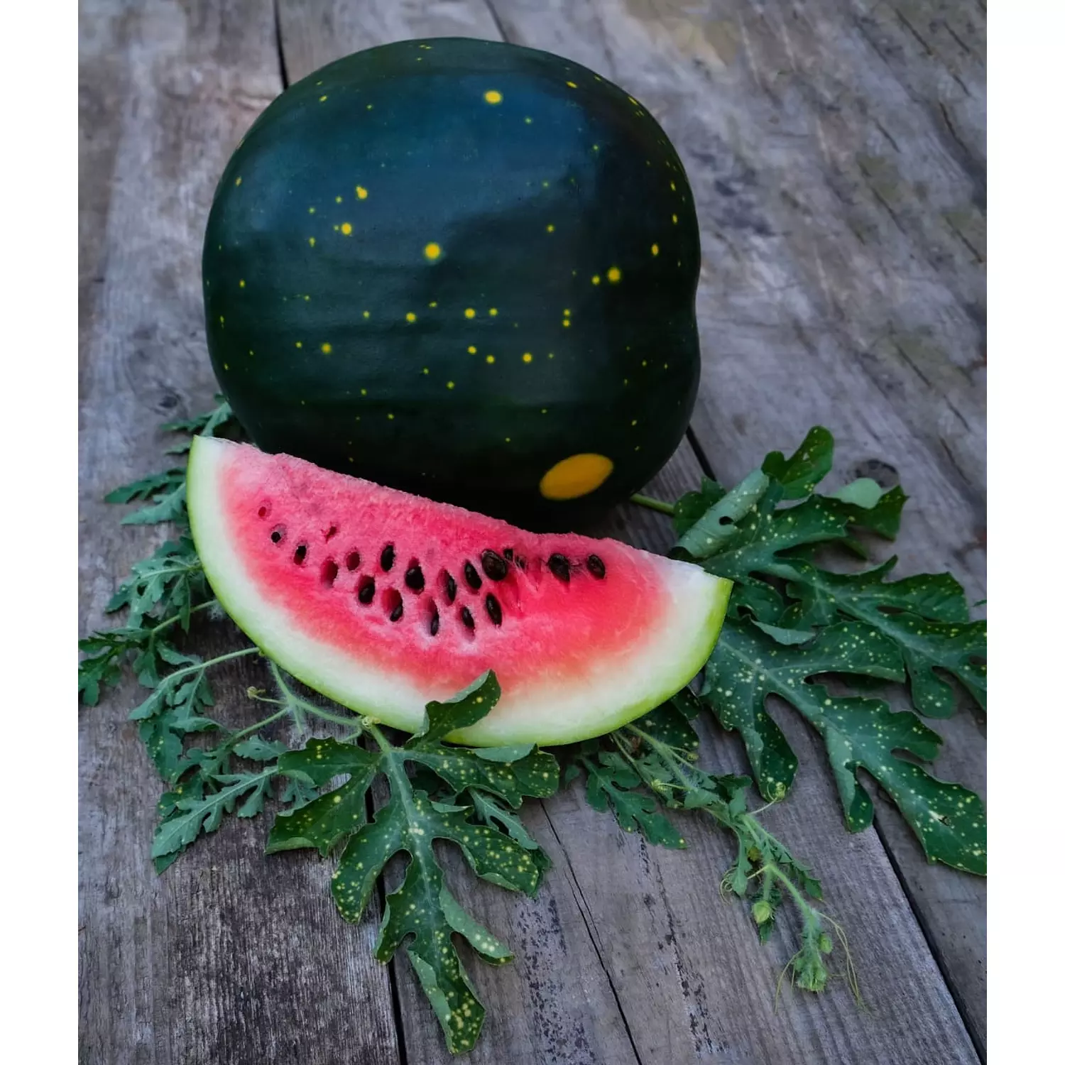 Moon & Stars Watermelon seeds 0