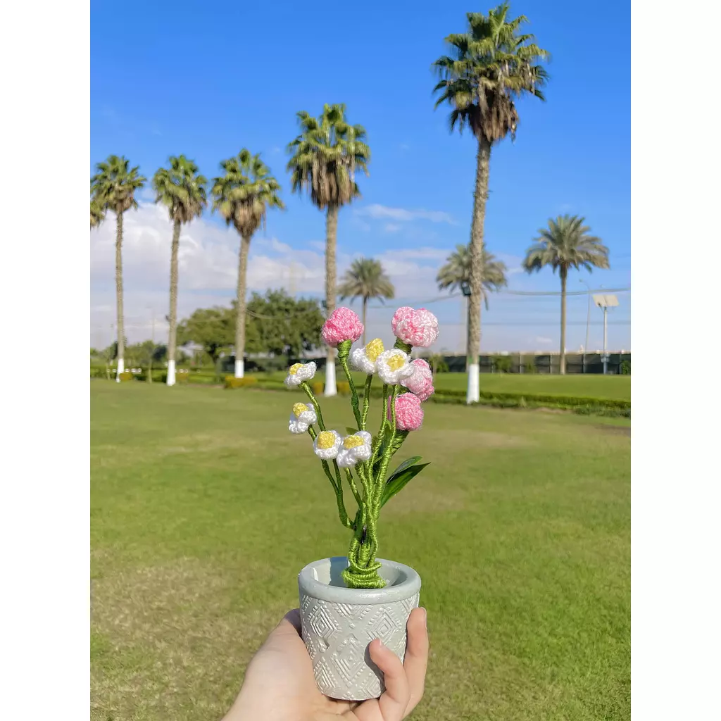 Roses in pot 