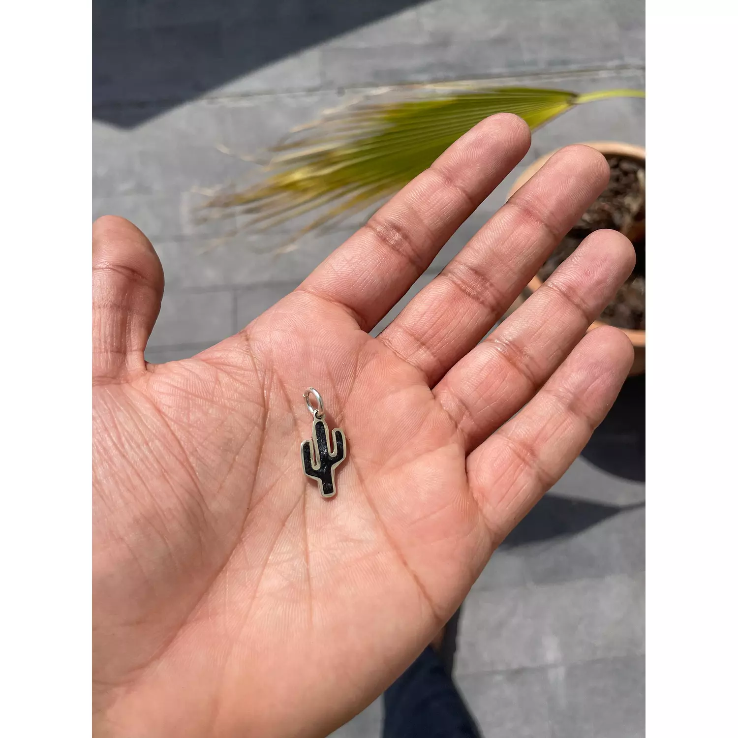 Black Cactus Pendant hover image