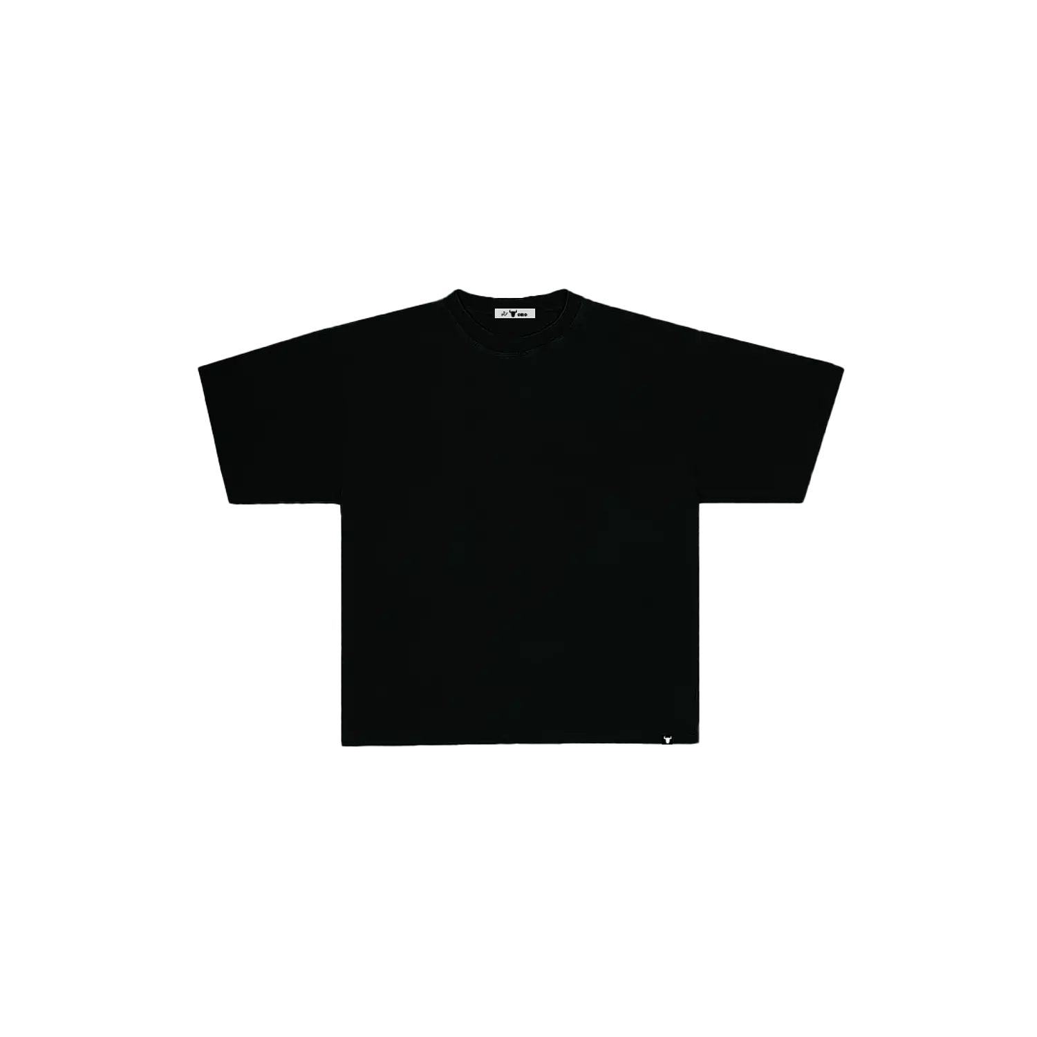 BASIC T-SHIRT hover image