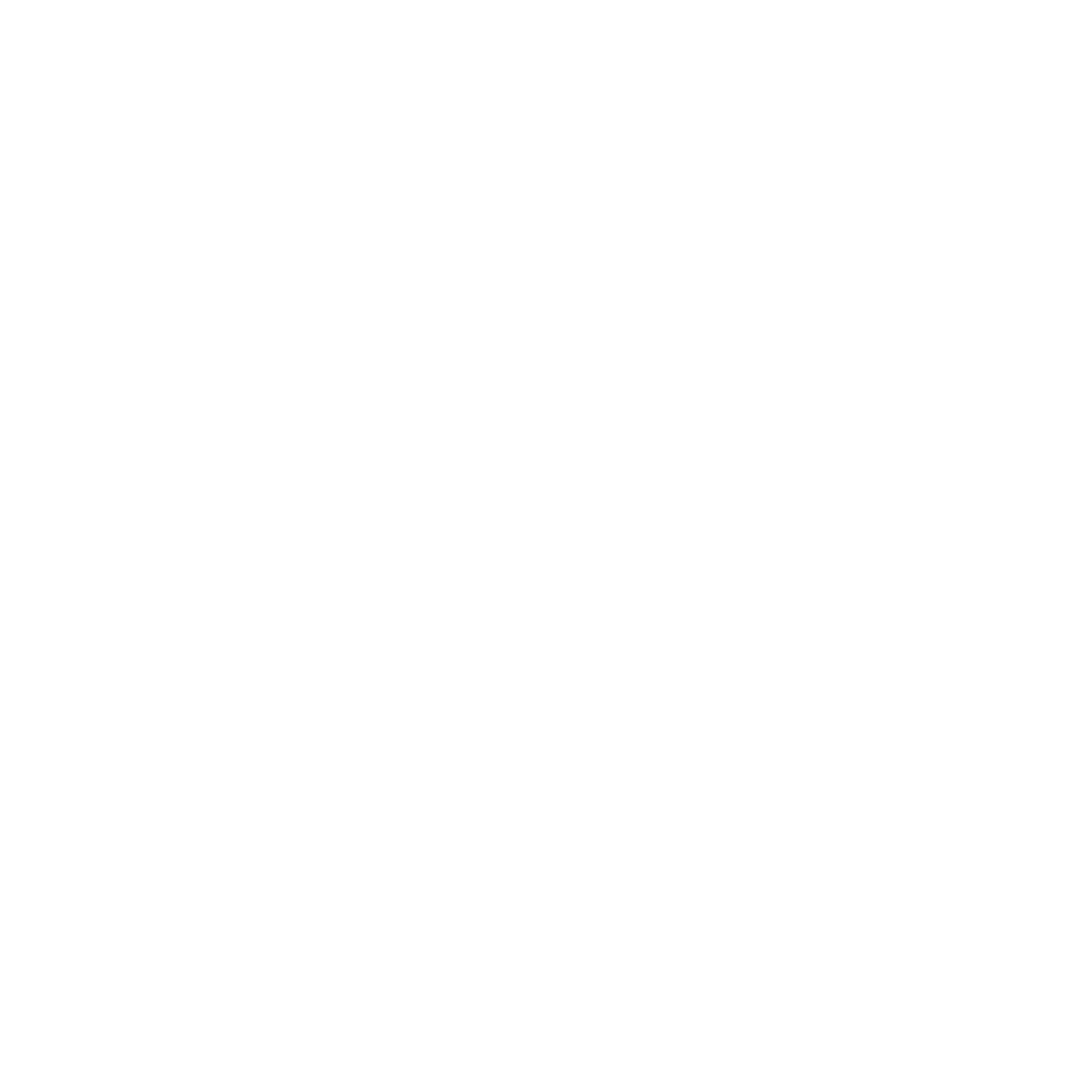 Perfumes steelixe