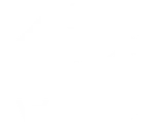 Vizio