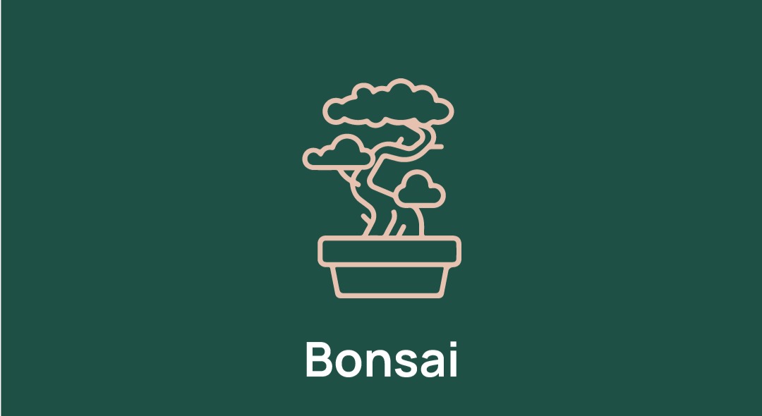 Bonsai Img