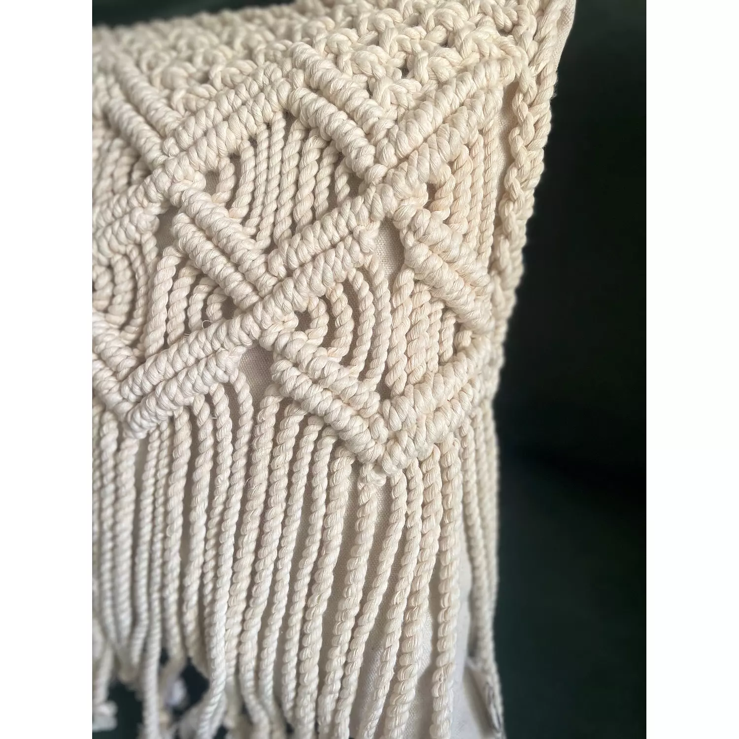 Wings Cotton Macrame Cushion      3