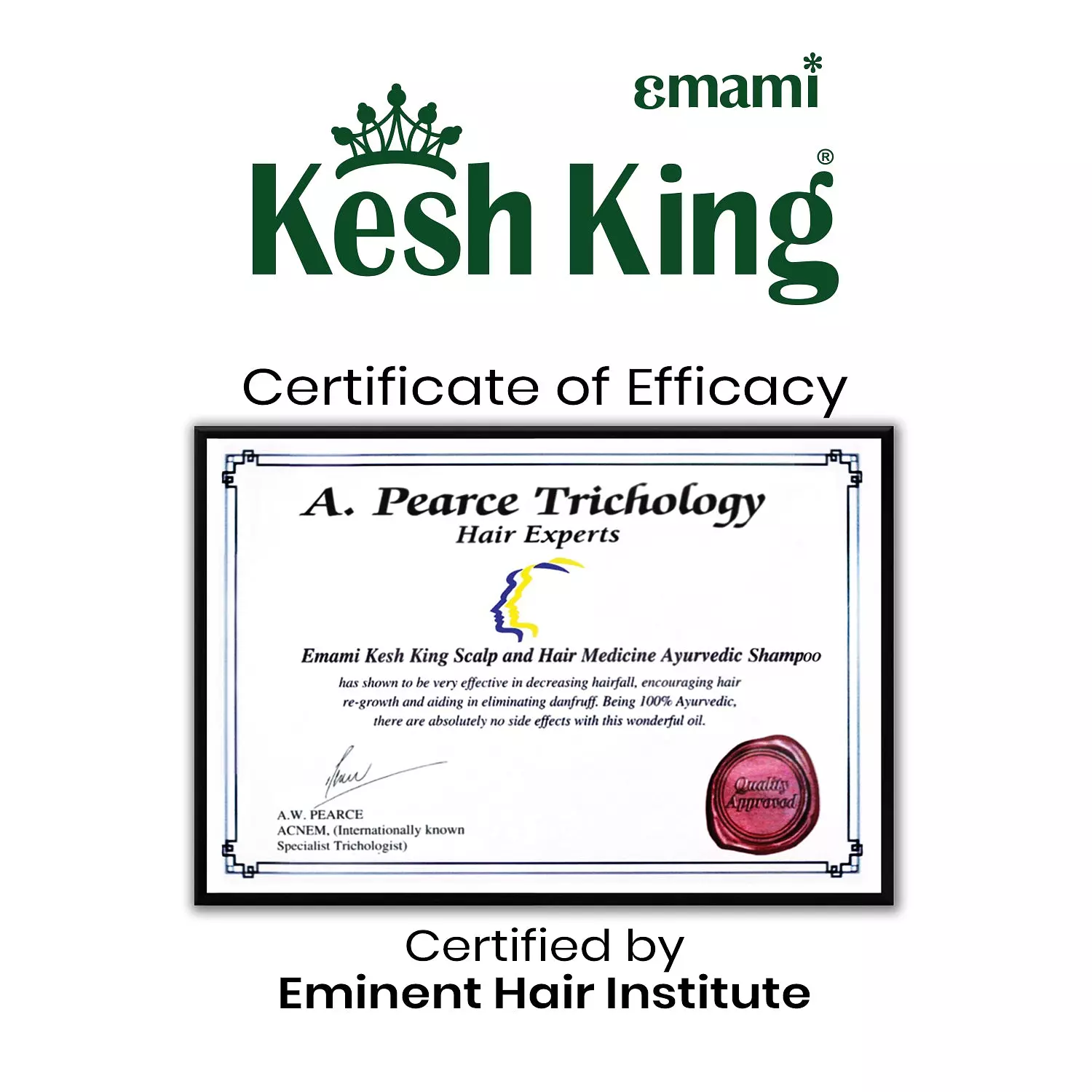 Kesh King Shampoo - Anti Hair Fall   1