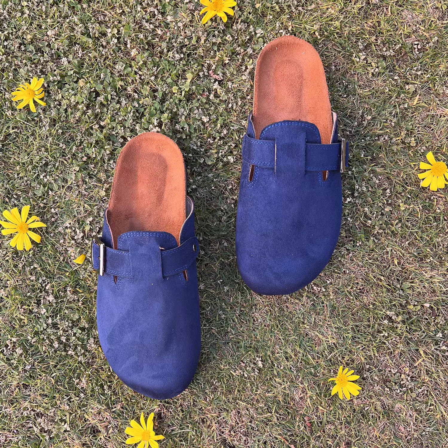 Clogsy-Navy 2