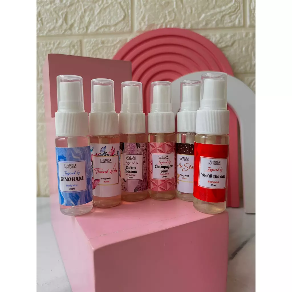 mini bath and body dupe kit