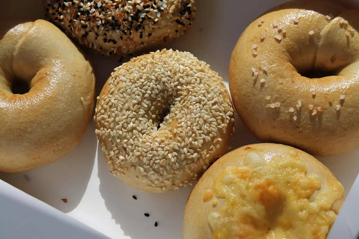 Sesame Bagel 3