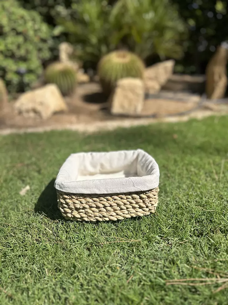 Boho Palm Basket