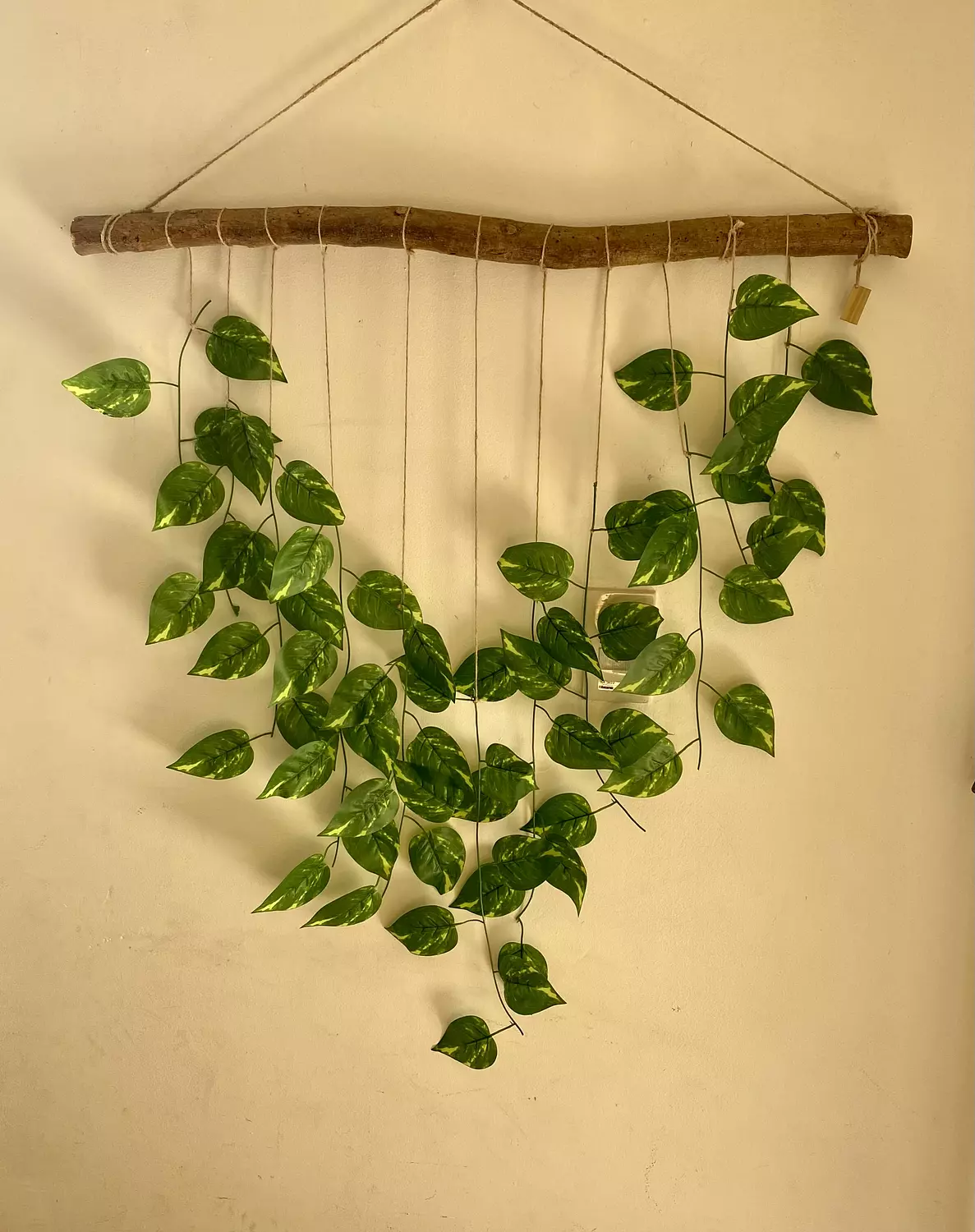 Wall plant hanger 1