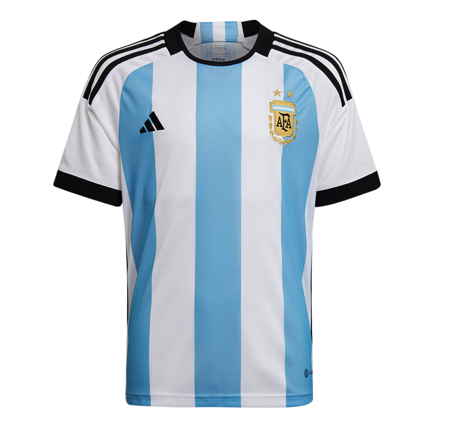 ARGENTINA WORLD CUP 22 - FANS