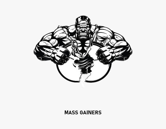 Mass Gainers  Img