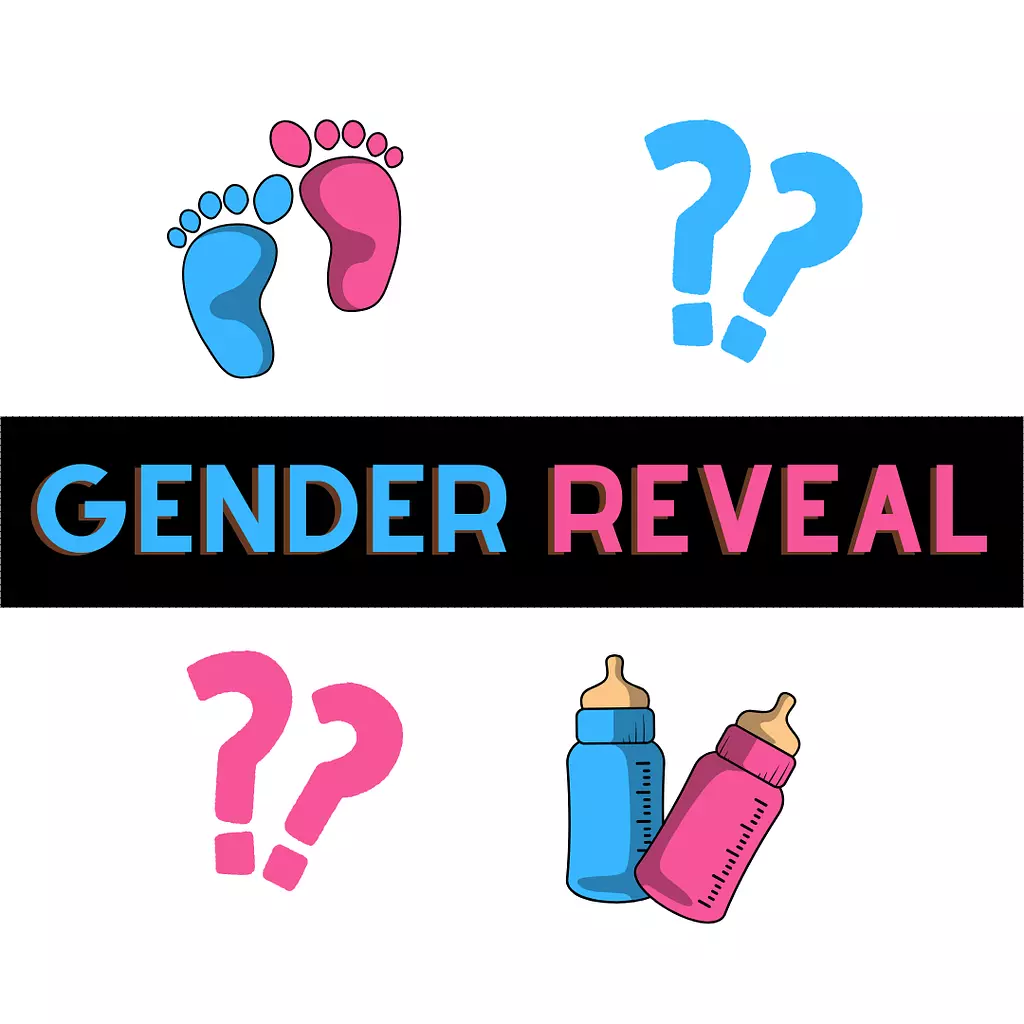 Gender Reveal Designs Maison de Fete
