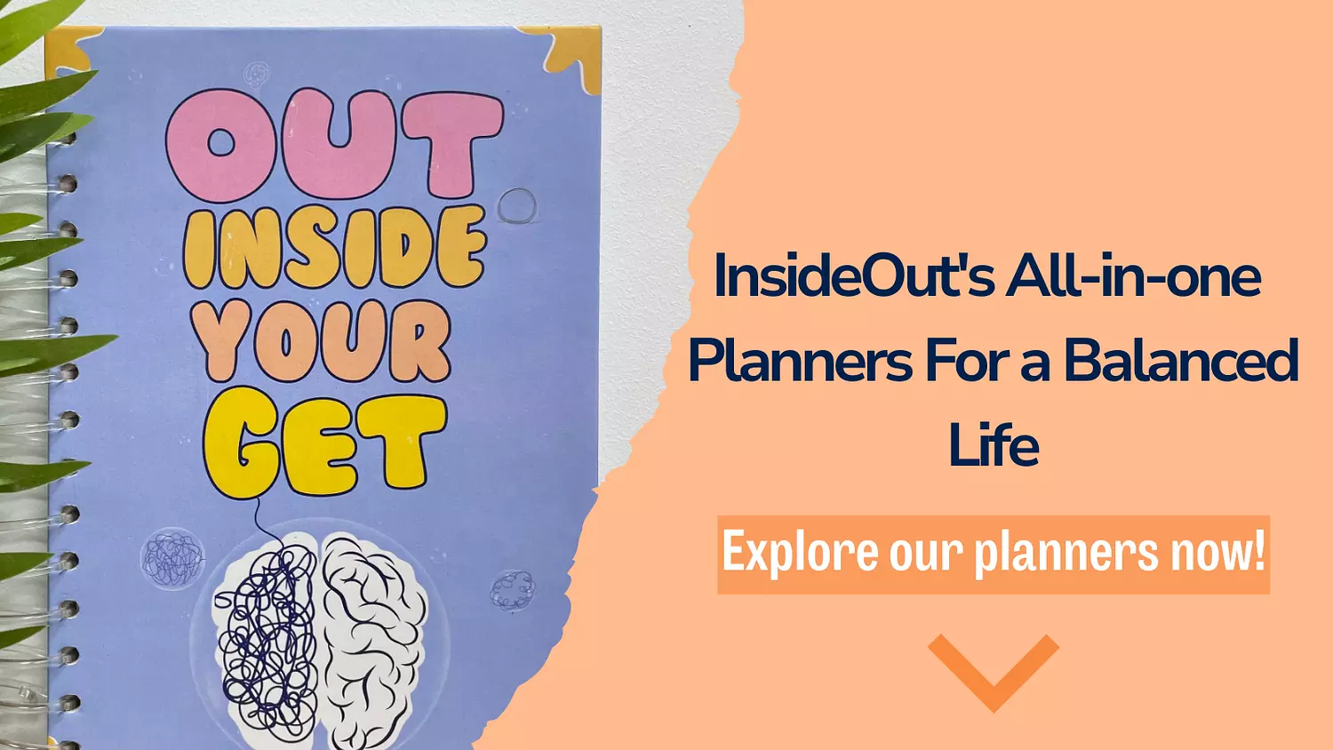 banner image for InsideOut