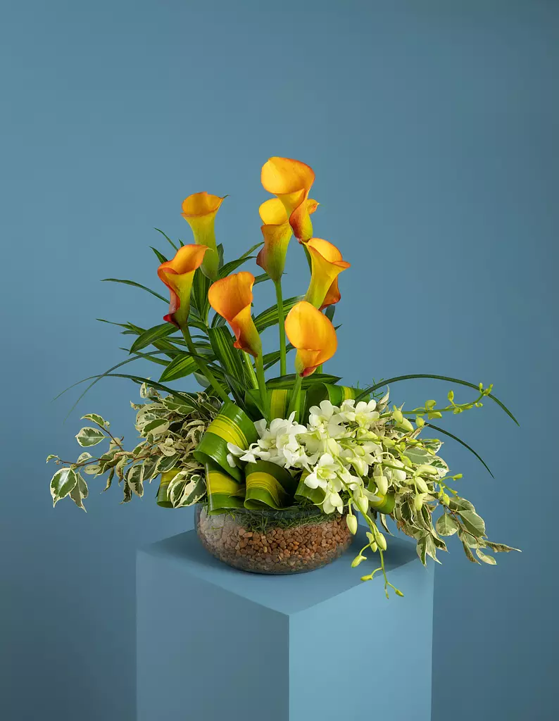 Growing Love Flower Vase