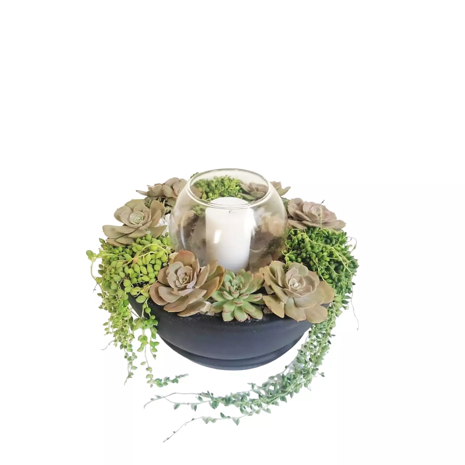 Cactus Set with Candle Holder hover image