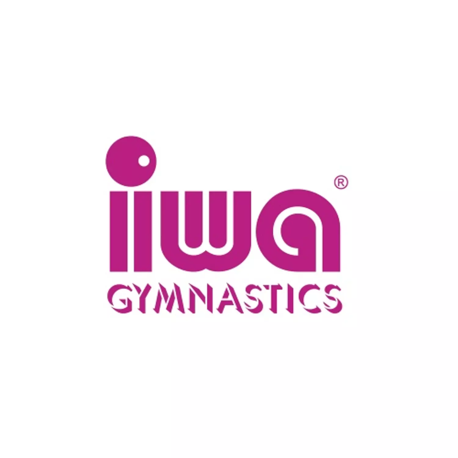 IWA-Artistic Gymnastics Shoes (Art.402) 1
