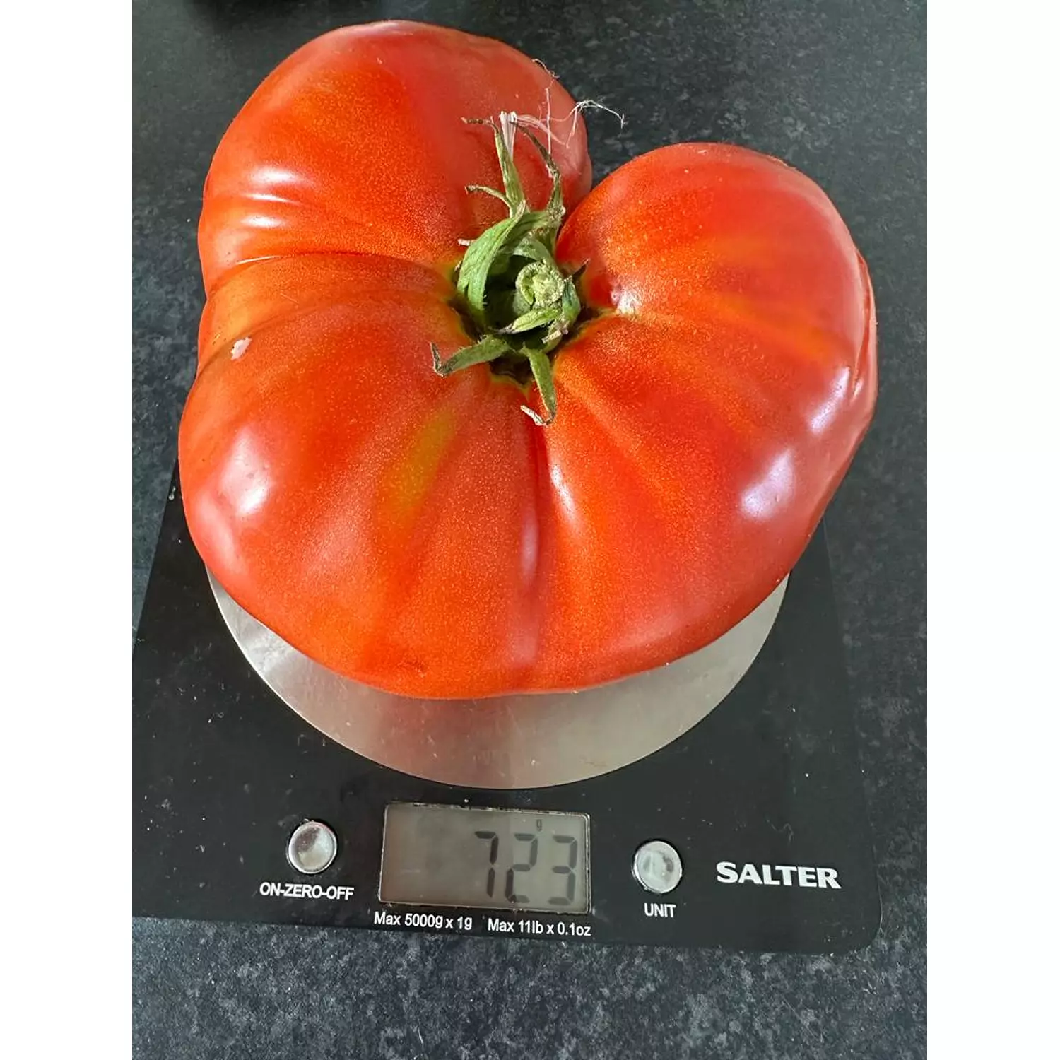 Big Mama Tomato seeds  hover image