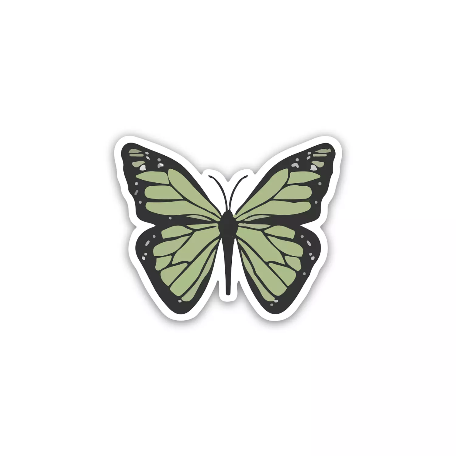 Green Butterfly 🦋 hover image