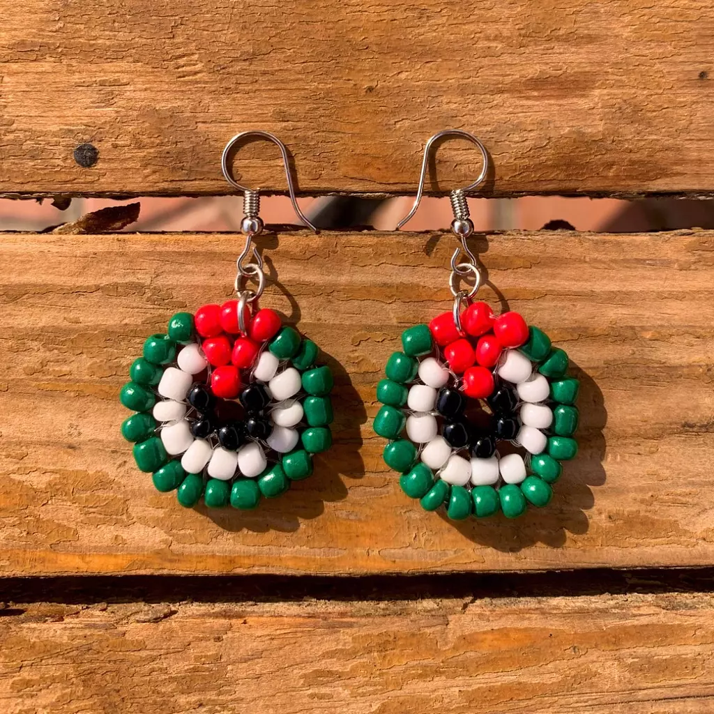 Circle Flag Earrings