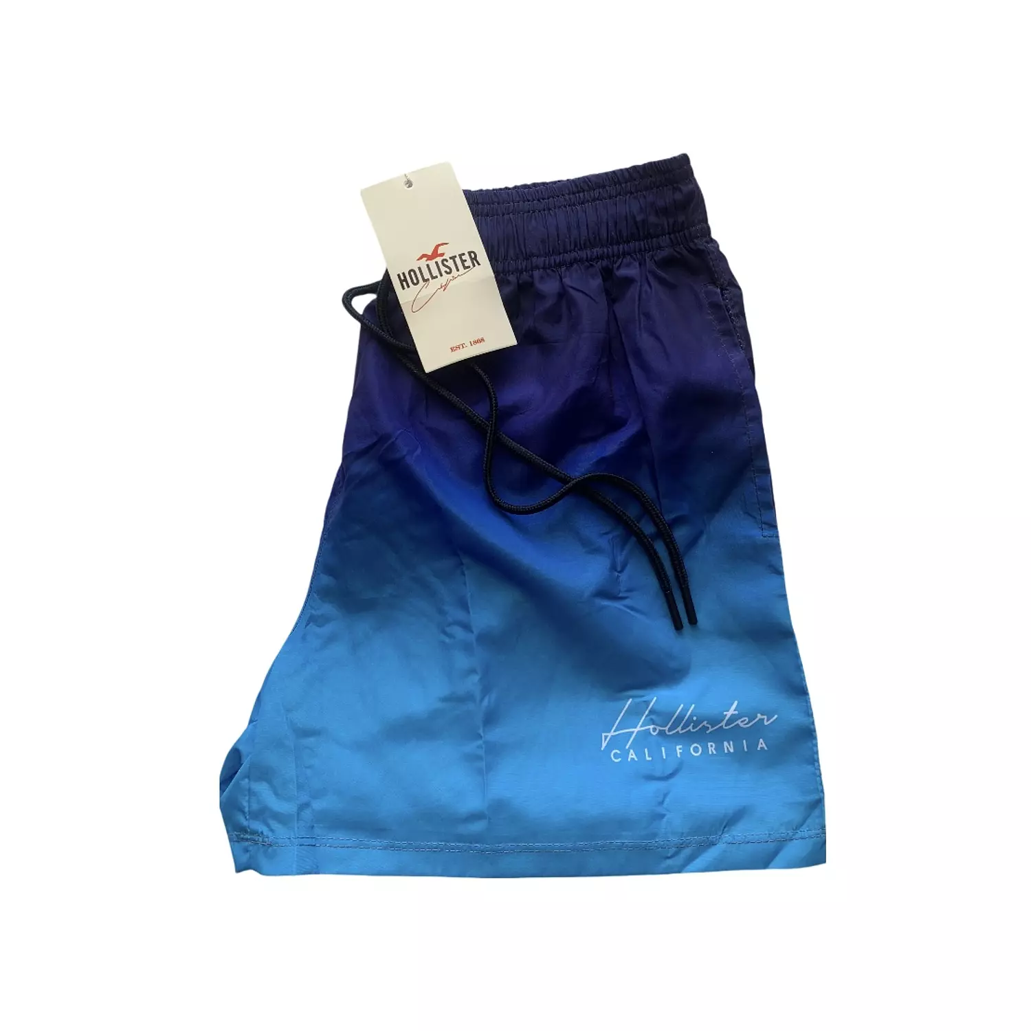 Hollister Gradient Blue Swim Short -2nd-img