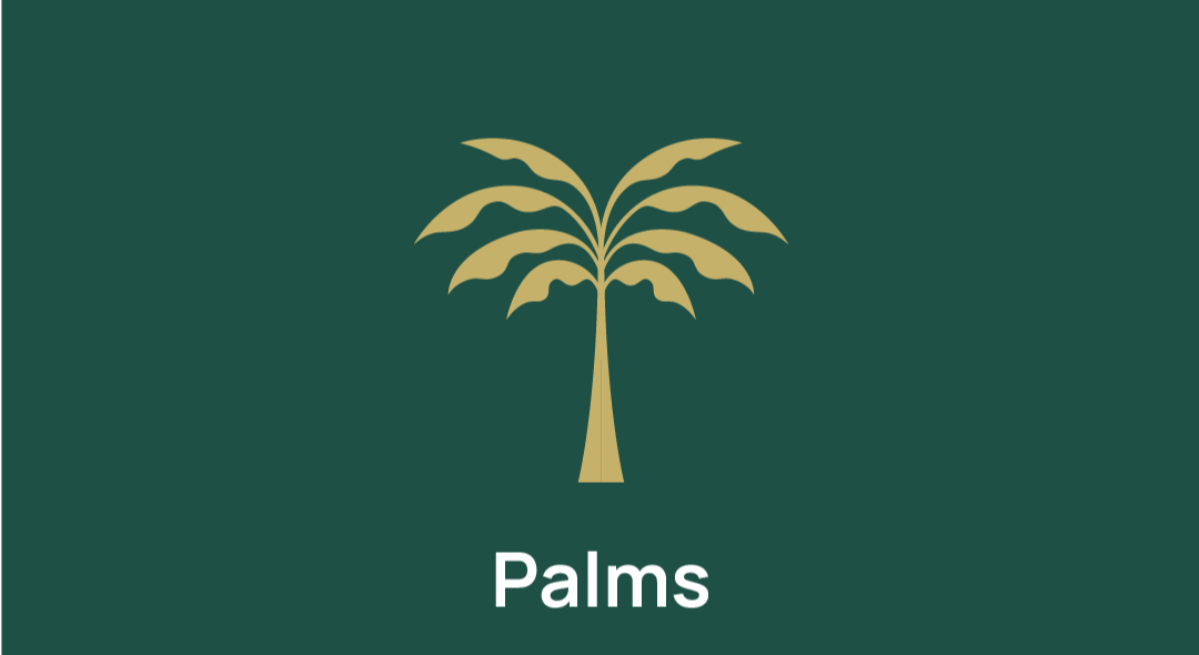 Palms Img