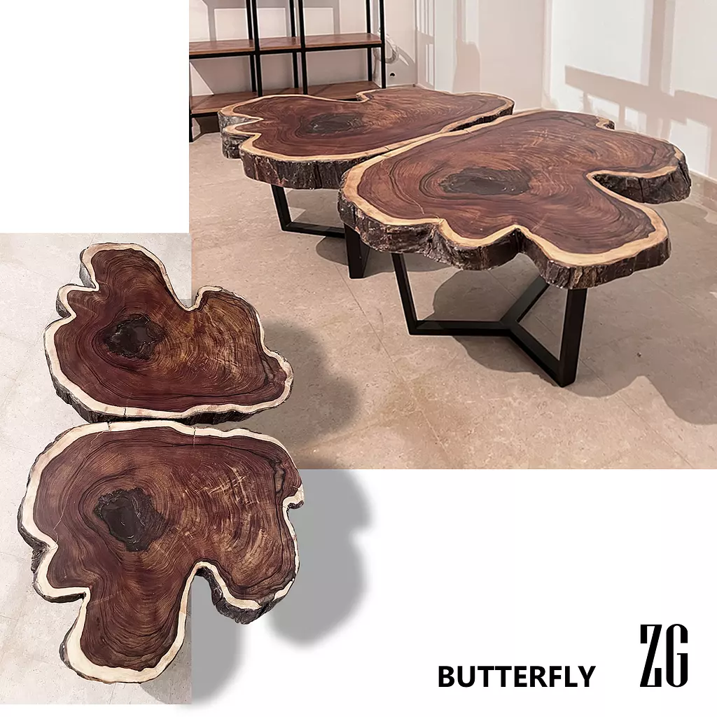 BUTTERFLY coffe table 