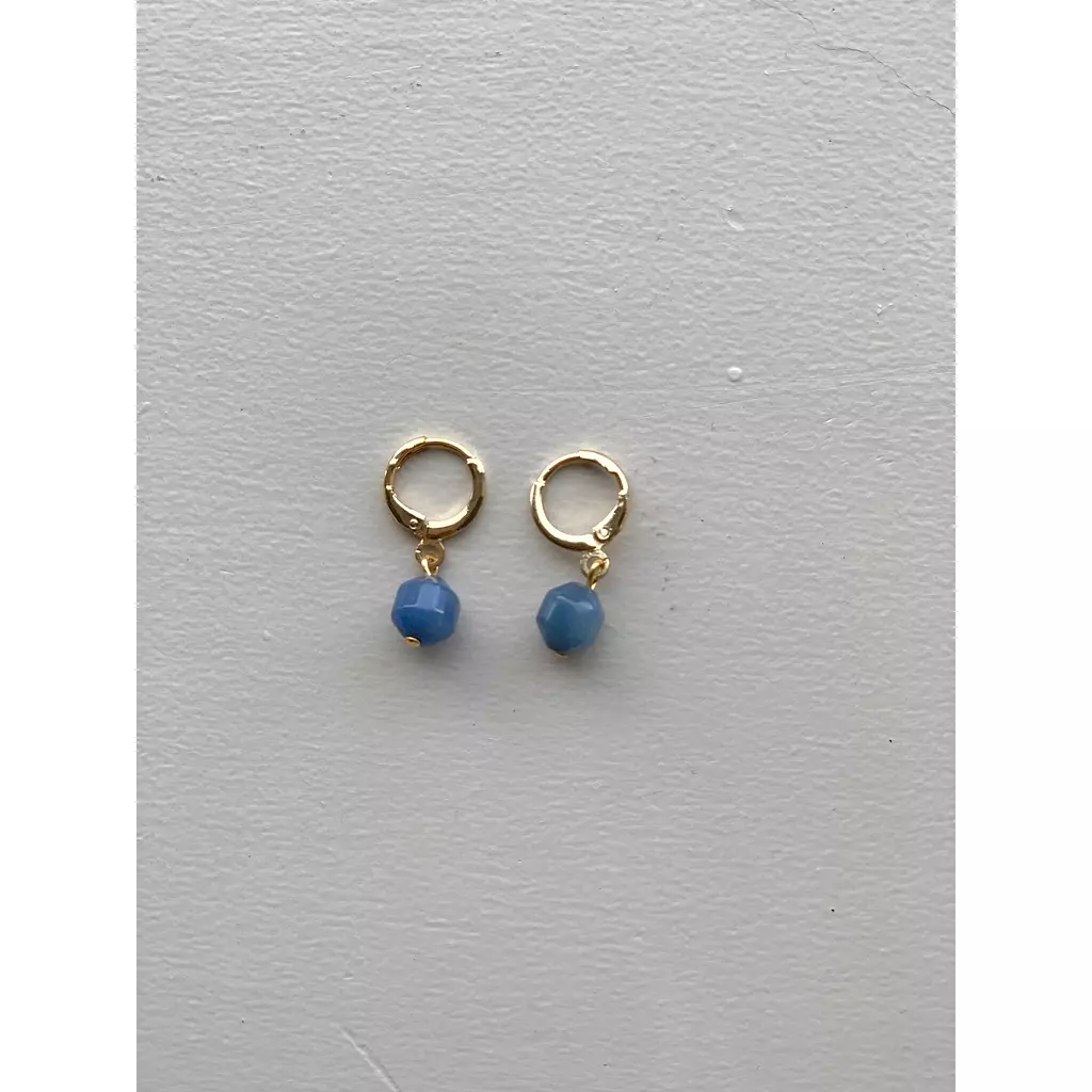 Roi earrings 