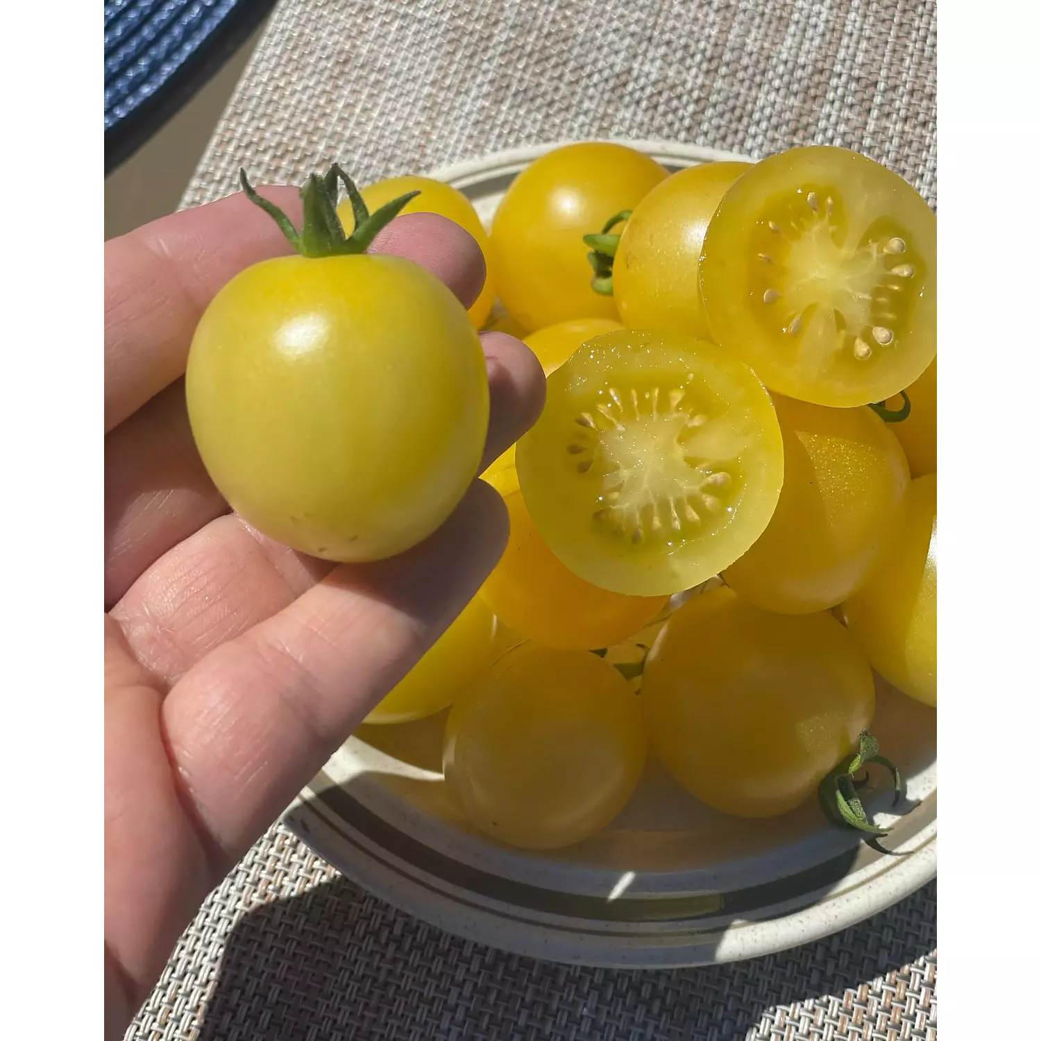 White Cherry Tomato seeds hover image