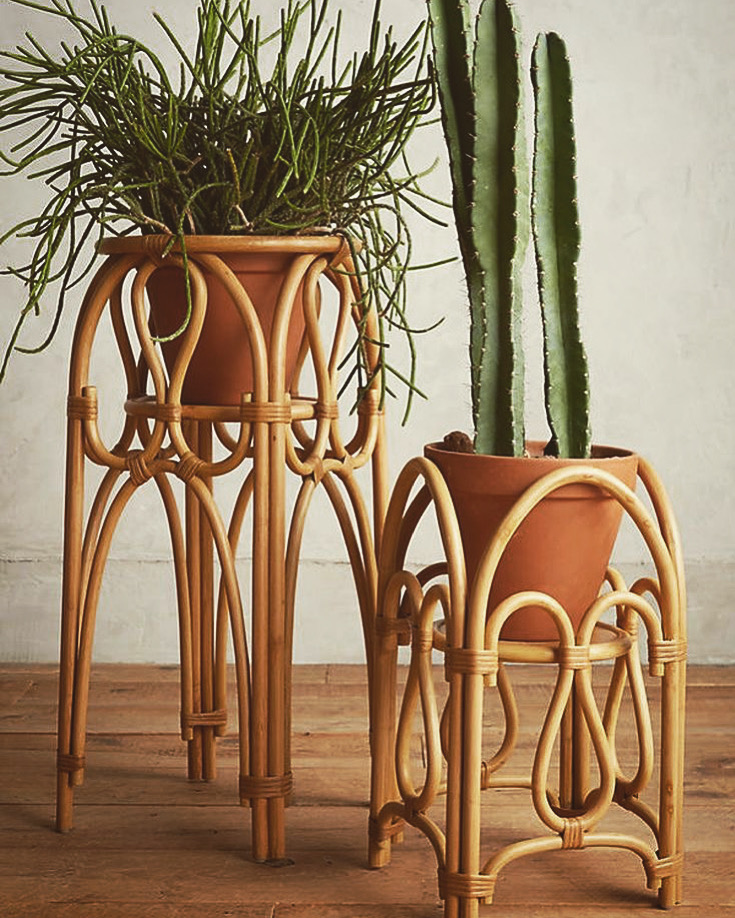 Bamboo plant stands set hover image