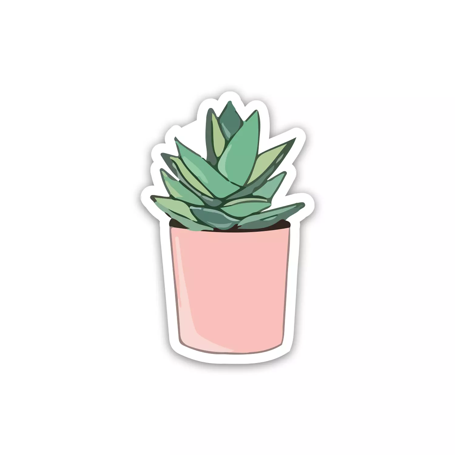 Cactus 🌵 - Alo Vera Plant  hover image