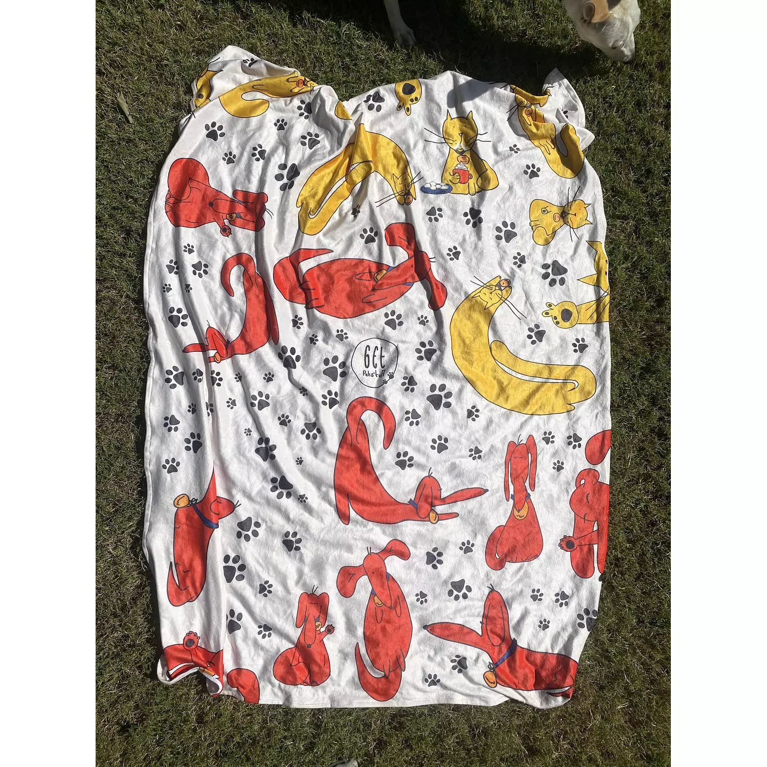 Cozy Blanket (Pre-order) 2