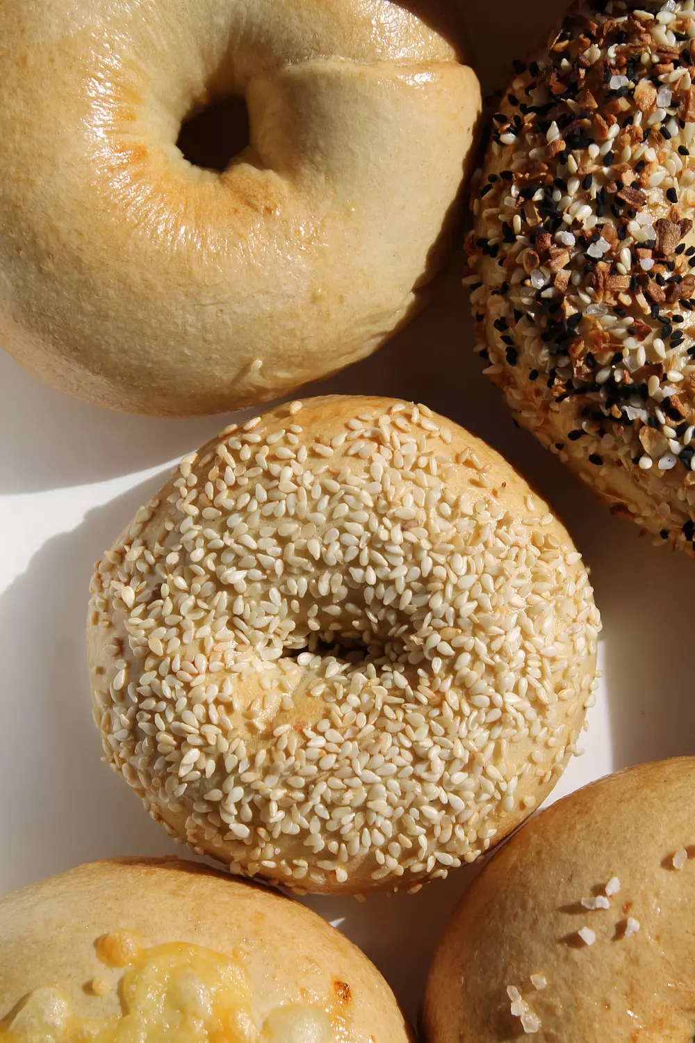 Sesame Bagel 2